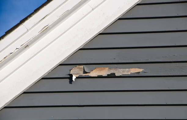 Best Same-Day Junk Removal Services  in Tickfaw, LA